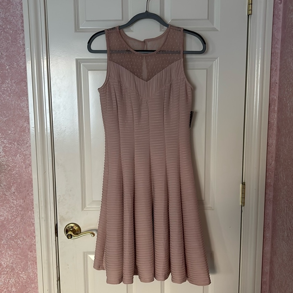 Danny & Nicole Women’s Blush Dress with Lace Bodice [Size: 8]